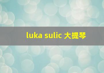 luka sulic 大提琴